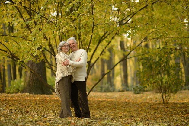 Porträt eines glücklichen älteren Paares im Herbstpark