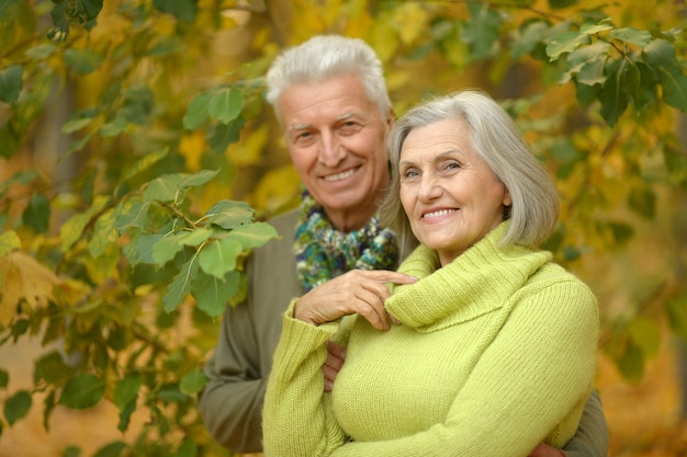 Porträt eines glücklichen älteren Paares im Herbstpark