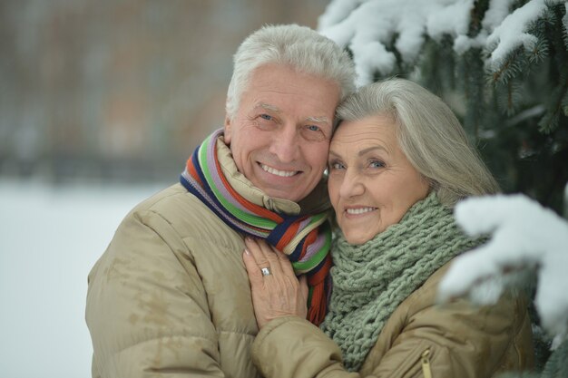 Porträt eines glücklichen älteren Paares im Winter draußen