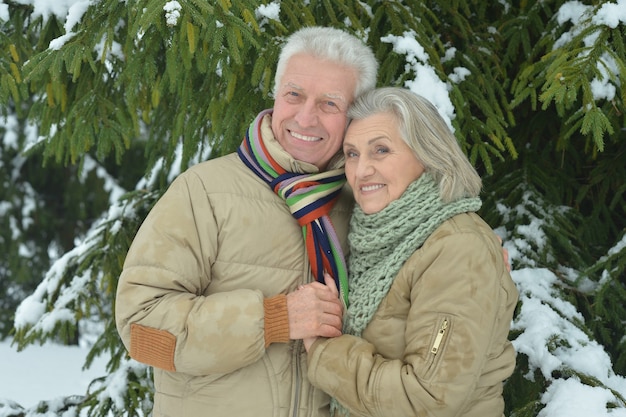 Porträt eines glücklichen älteren Paares im Winter draußen