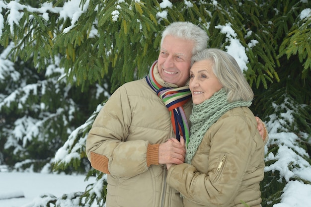 Porträt eines glücklichen älteren Paares im Winter draußen