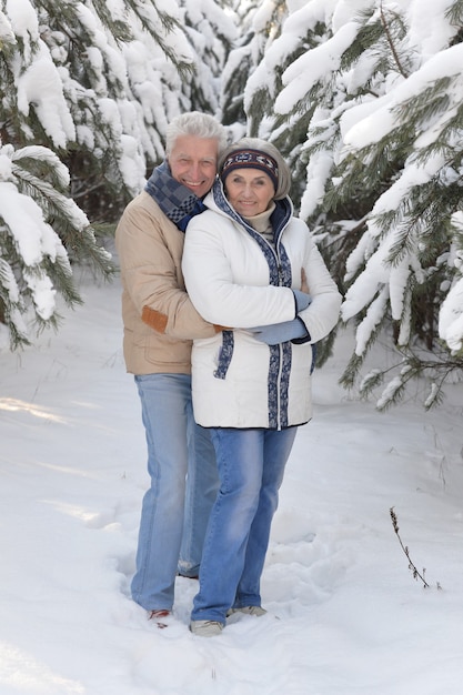Porträt eines glücklichen älteren Paares im Winter draußen