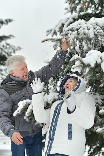 Porträt eines glücklichen älteren Paares im Winter draußen