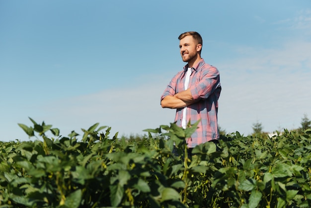 Porträt eines glücklichen jungen Landwirts, der Sojabohnenplantagen kontrolliert. Landwirtschaftliche Industrie