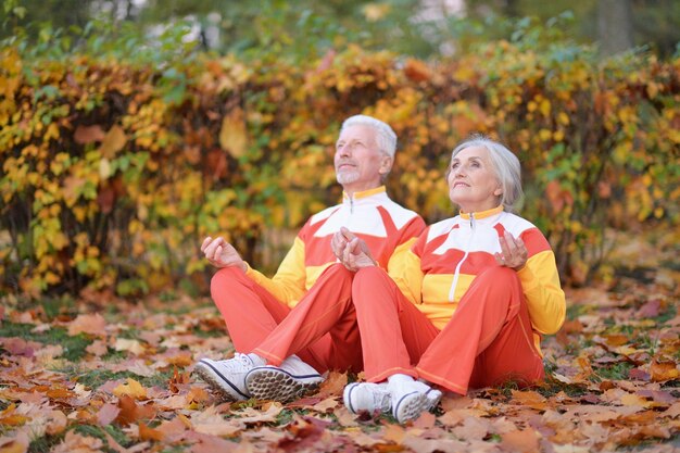 Porträt eines glücklichen Seniorenpaares, das im herbstlichen Park meditiert