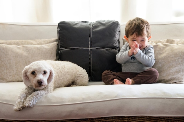 Porträt eines Hundes, der auf dem Sofa sitzt