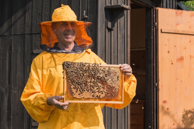 Porträt eines Imker, der einen Bienenstockrahmen mit Honigstock und Bienen hält