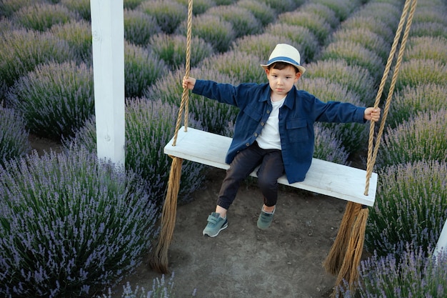Porträt eines Jungen auf einer Schaukel in einem Lavendelfeld