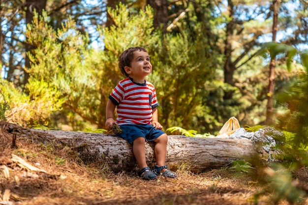 Porträt eines Jungen, der im Herbst auf einem Baum in der Natur neben Pinien sitzt Madeira Portugal