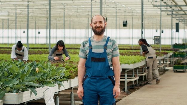 Porträt eines kaukasischen Bauern auf einem Bio-Bauernhof, der selbstbewusst posiert, während verschiedene Pflücker Bio-Salat im Gewächshaus sammeln. Lächelnder Mann in hydroponischer Umgebung mit Arbeitern, die Pflanzen inspizieren.