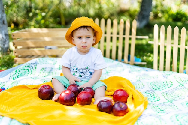 Porträt eines kleinen glücklichen Jungen beim Picknick Schöner kleiner Junge, der Apfel auf dem Rasen isst Outdoor-Lifestyle-Konzept