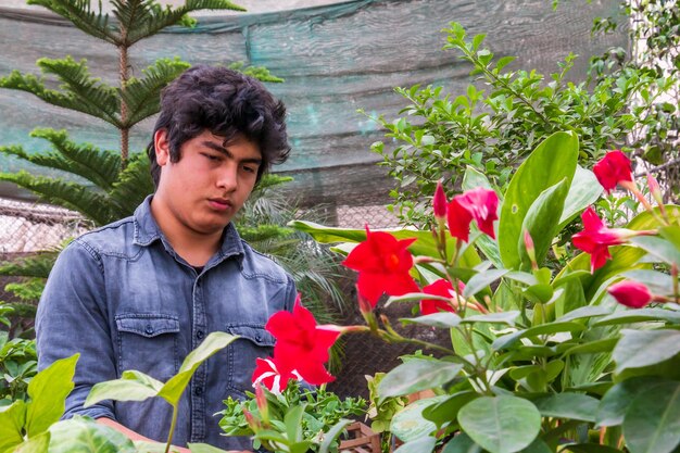 Porträt eines konzentrierten Gärtners, der die Pflanzen und roten Blumen im Garten überprüft