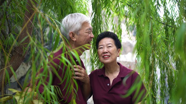 Porträt eines lächelnden älteren asiatischen Paares mit Weidenbaum