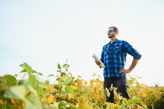 Porträt eines leitenden, fleißigen Landwirt-Agronomen, der auf dem Sojabohnenfeld steht und die Ernte vor der Ernte überprüft. Biologische Lebensmittelproduktion und -anbau.