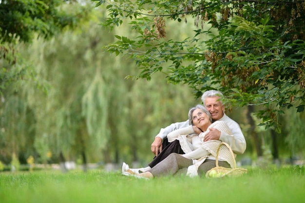 Porträt eines liebevollen älteren Paares, das im Sommer ein Picknick macht