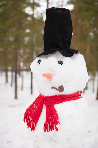 Porträt eines lustigen handgefertigten Schneemanns mit Hutrohr und rotem Schal Winterwaldhintergrund