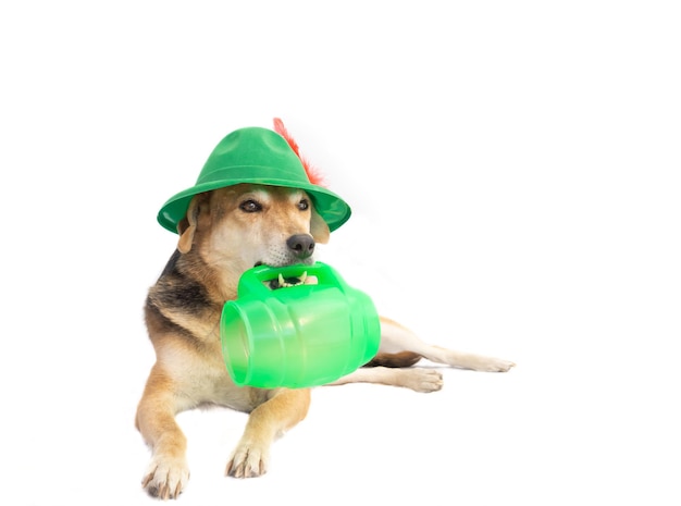 Porträt eines Mischlingshundes mit bayerischem Hut und Bierkrug