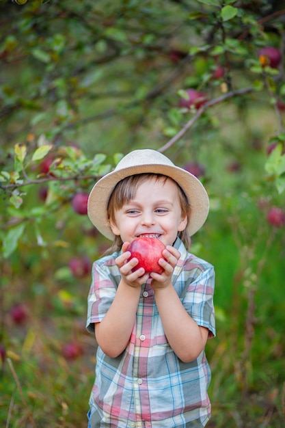 Porträt eines netten Jungen im Garten mit einem roten Apfel Herbsternte von Äpfeln