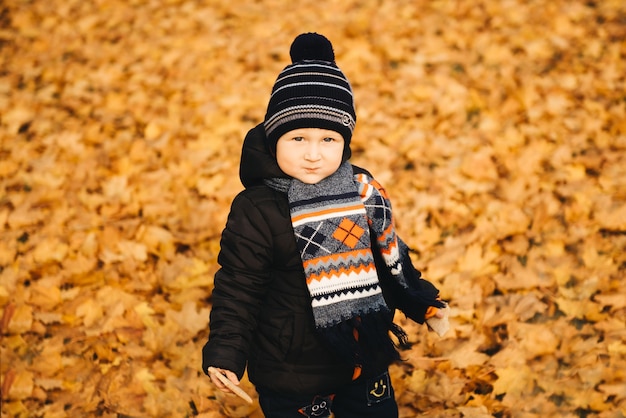 Porträt eines niedlichen Jungen in den gelben Blättern des Herbstparks