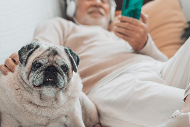 Porträt eines reinrassigen alten Pug-Hundes, der zu Hause mit dem älteren Besitzer auf dem Sofa sitzt, Haustiertherapiekonzept