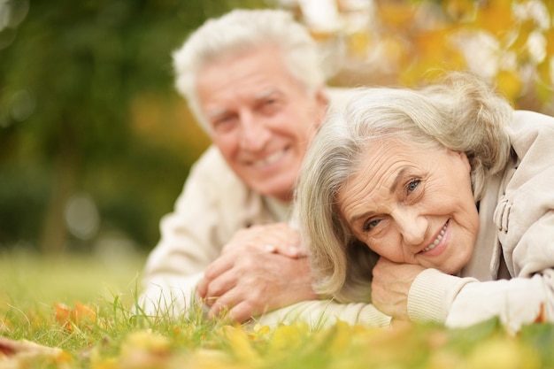 Porträt eines schönen älteren Paares, das im Park liegt