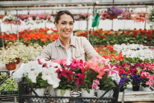 Porträt eines schönen Frauenfloristen in einem Gewächshaus. Sie hält Kiste mit schönen Blumen und schaut in die Kamera.