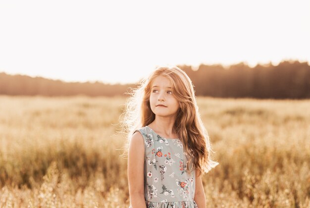 Porträt eines schönen Mädchens mit langen Haaren auf einem goldenen Feld bei Sonnenuntergang