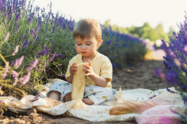 Porträt eines süßen, hungrigen Babys, das während eines Picknicks auf einem Lavendelfeld Brot isst