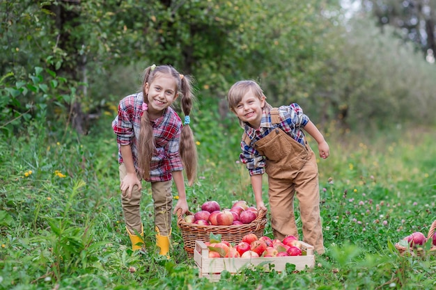 Porträt eines süßen Jungen mit Hut im Garten mit einem roten Apfel Emotionen Glück Essen Herbsternte