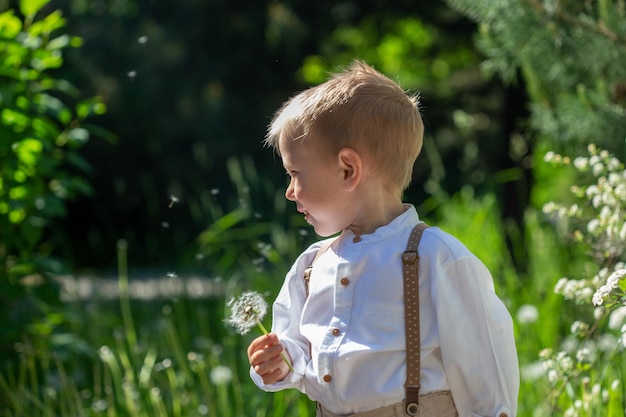 Porträt eines süßen kaukasischen kleinen Jungen, der im Sommer auf Löwenzahn im Park bläst, mit weichem Fokus und selektivem Fokus