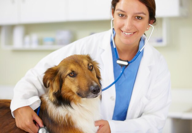 Porträt eines Tierarztes mit einem Hund in der Klinik