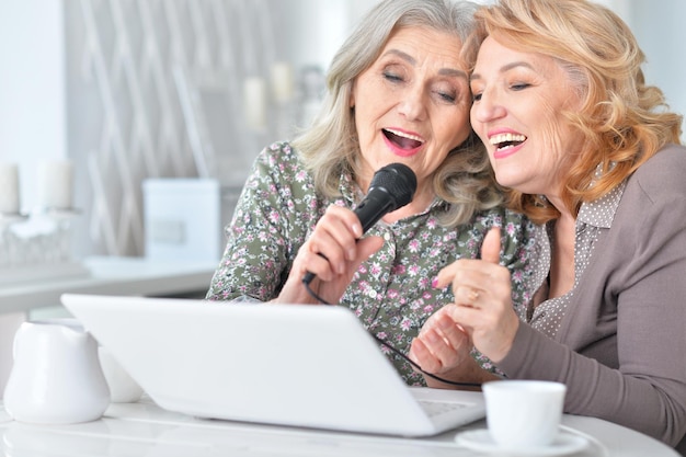 Porträt glücklicher älterer Menschen, die Karaoke singen