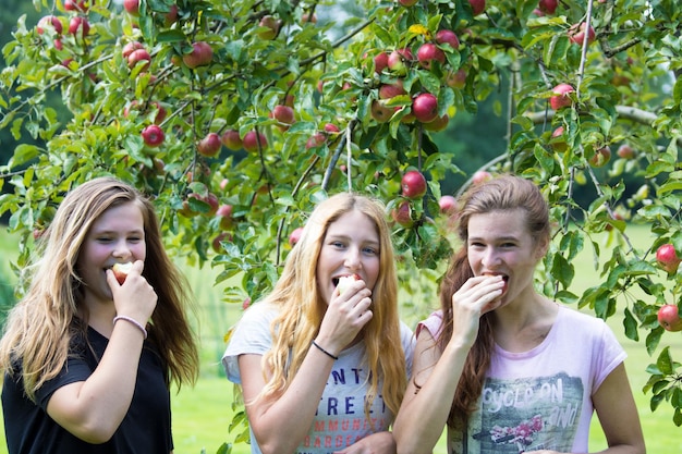 Porträt glücklicher Freunde, die Äpfel im Obstgarten essen