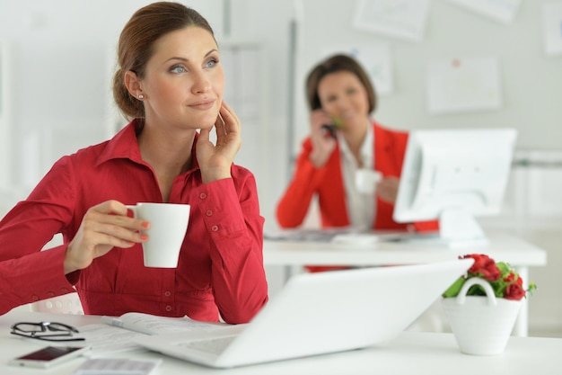 Porträt junger Geschäftsfrauen, die im modernen Büro arbeiten