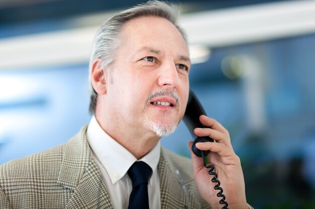 Portrait eines fälligen Geschäftsmannes, der am Telefon spricht