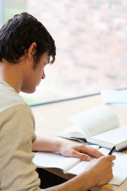 Portrait eines jungen Studenten, der einen Aufsatz schreibt