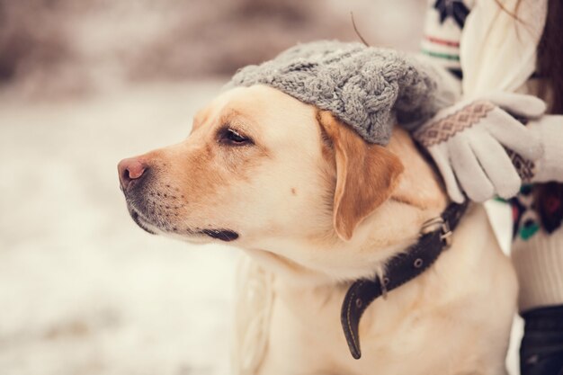 Portrait eines Mädchens und eines Hundes