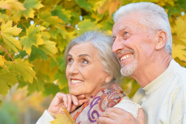 Portrait eines schönen älteren Paares, das sich umarmt