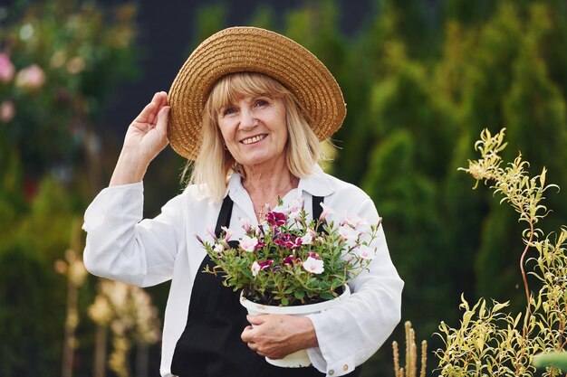 Posando com vaso de flores nas mãos Mulher sênior está no jardim durante o dia Concepção de plantas e estações