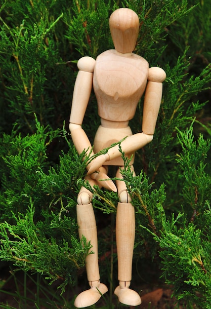 Pose de boneco de madeira ao ar livre
