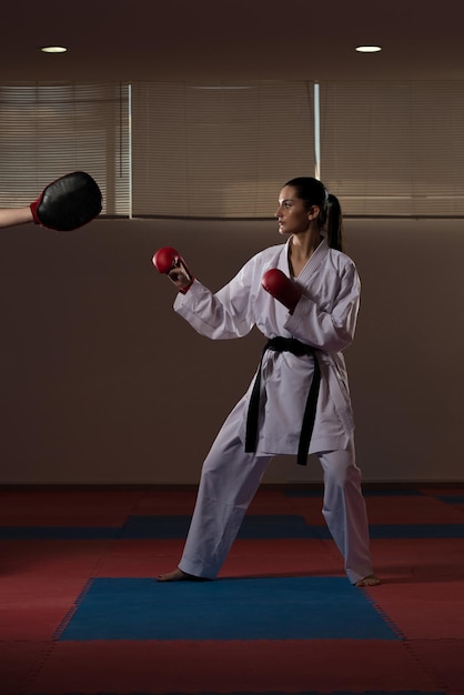 Pose de luchador de taekwondo