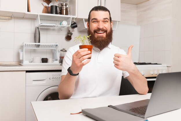 Positiver junger bärtiger Mann hält einen Topf mit Babypflanzen, während er zu Hause am Laptop arbeitet.