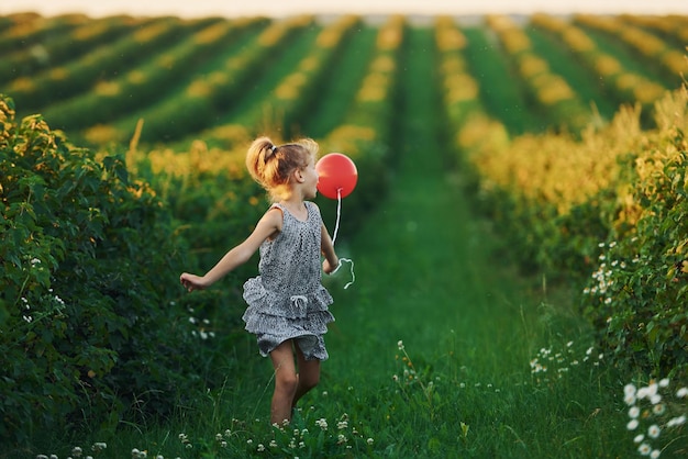 Positives kleines Mädchen mit rotem Ballon in den Händen hat Spaß auf dem Feld zur Sommertageszeit