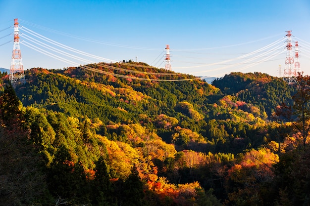 Post de electricidade de alta tensão sobre floresta colorida na montanha