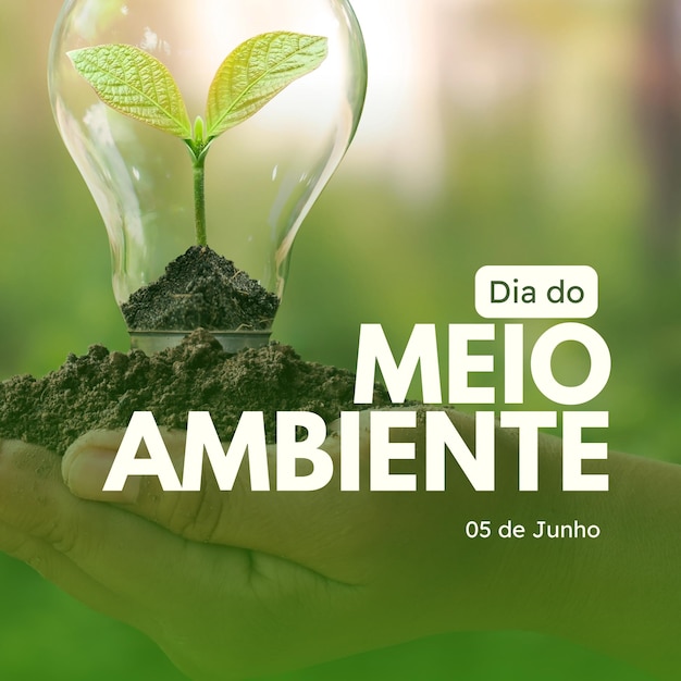 Post para Instagram Dia do Meio Ambiente Simples Verde e Branco 1