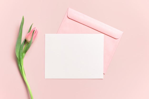 Postal blanca en blanco o tarjeta con sobre y tulipán