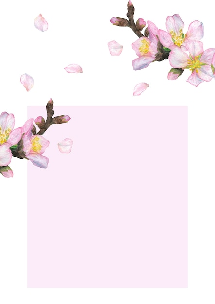 Postal de ilustración acuarela con flores de cerezo sobre un fondo blanco con un lugar para el texto