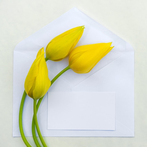 Postal minimalista con un ramo de tulipanes en un sobre