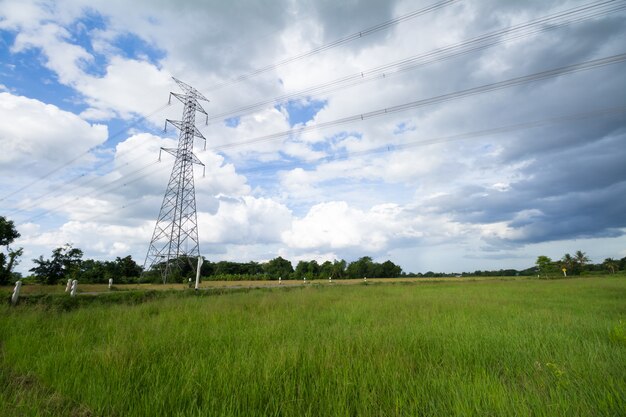 Poste de alto voltaje o torre de alto voltaje en un campo de arroz