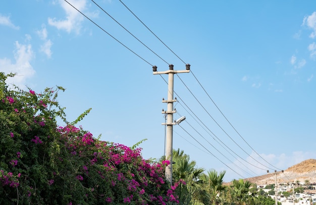 Poste de luz e fundo do cabo